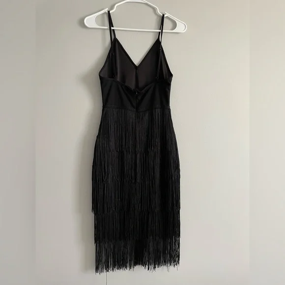 Flapper Style Dress / Halloween Costume - Picture 2 of 2